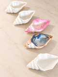 Handgefertigte Muschelschalen aus Spezialgips in verschiedenen Pastellfarben von Flomati